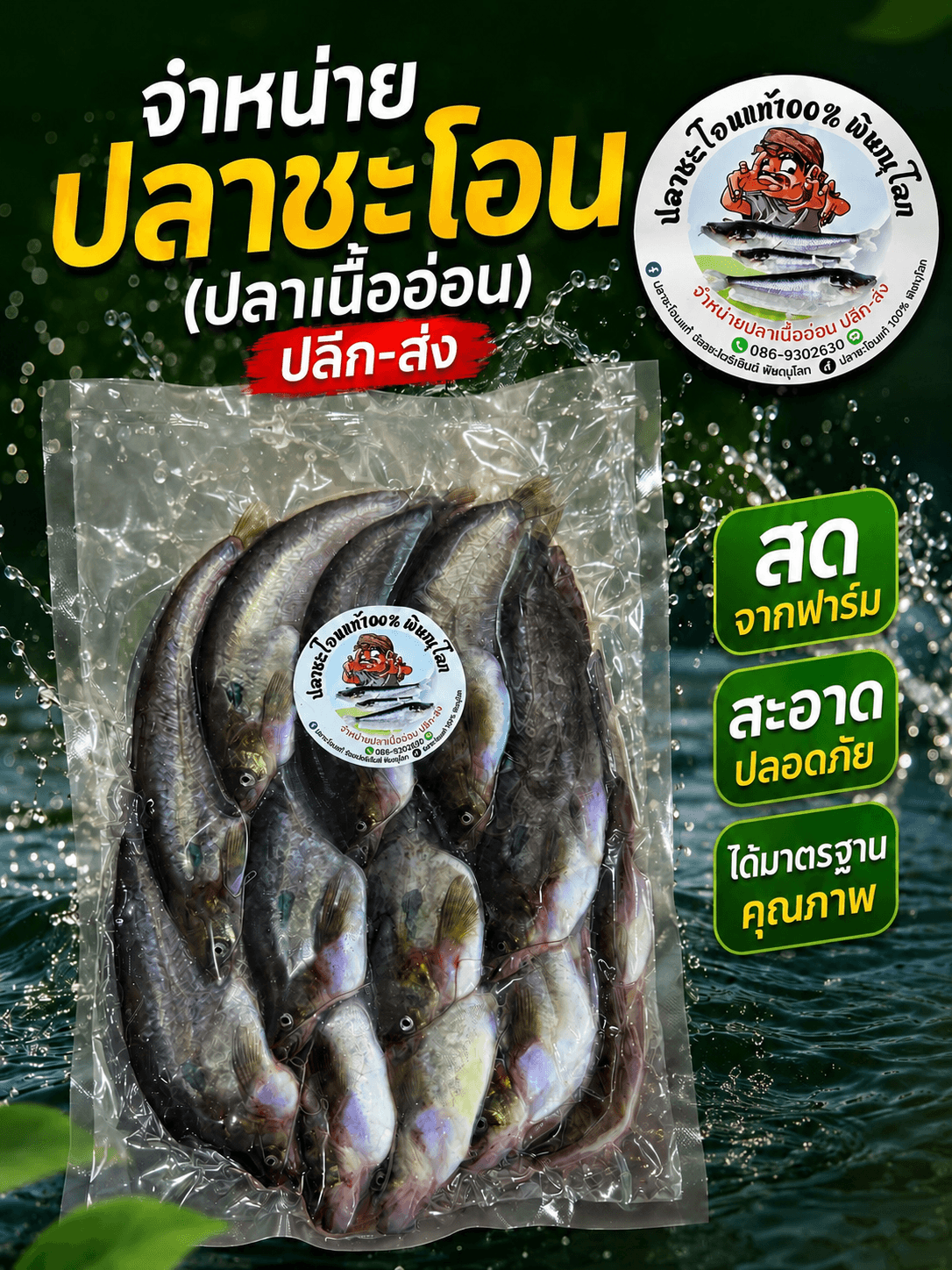 ปลาชะโอน (ปลาเนื้ออ่อน) สดแช่แข็ง