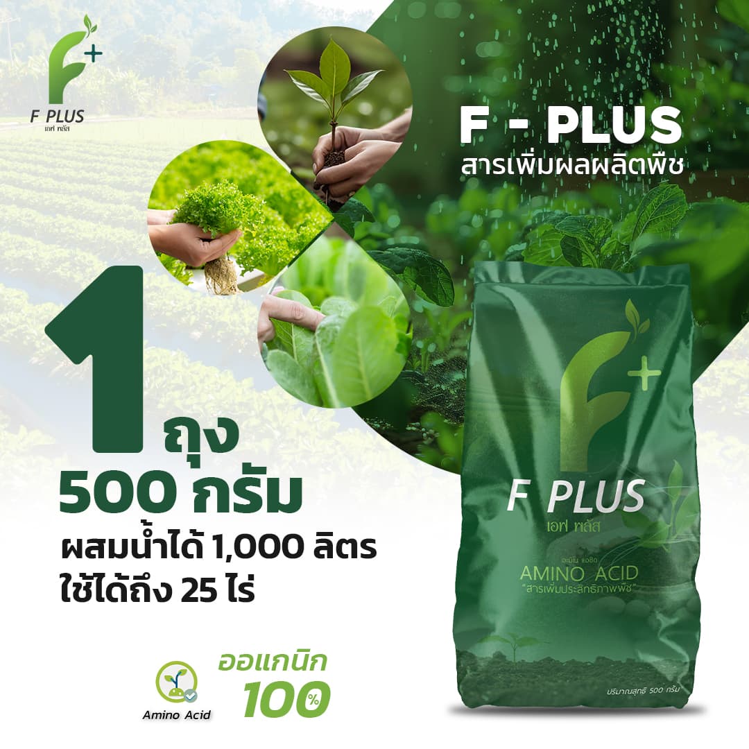 เอฟ-พลัส 1 ถุง ขนาด 500 กรัม